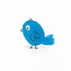 Oeles blauw privacy