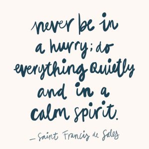Quote van Saint Francis de Sales. Never be in a hurry; do everything quietly and in a calm spirit